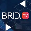 BridTV Alternatives