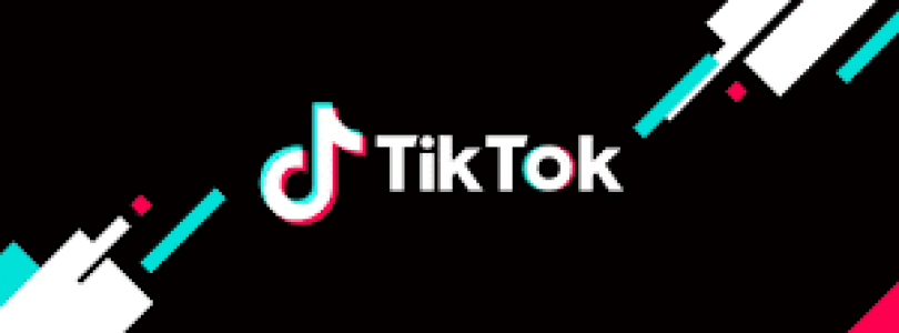 The 8 Best Free TikTok Video Downloaders in 2022